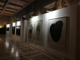 Mario Cresci. Metafore - Bologna. Palazzo d&#039;Accursio